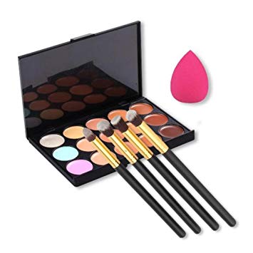 DATEWORK 15 Colors Contour Face Cream Makeup Concealer Palette + 4pcs Powder Brushes...