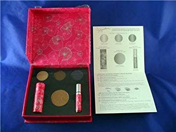 Mary Kay Mk Signature Downtown Dazzle Color Collection ~ Gift Boxed Set ~ Mineral Eye Color Shadow...